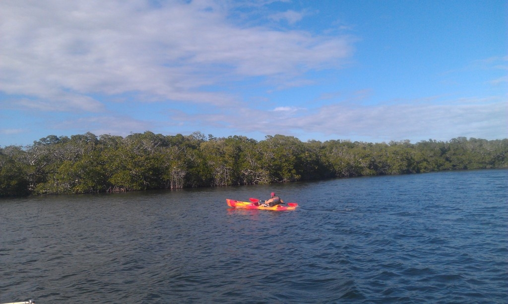 From Chuck and Nancy Petrone - Kayaking in the Florida Everglades