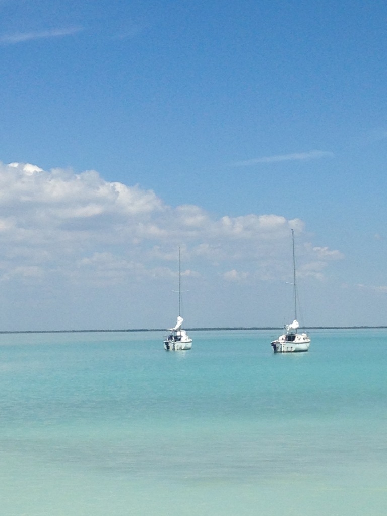 Calm Waters in Key Largo Are Very Ideal for Sailing - from Sharyn Gray