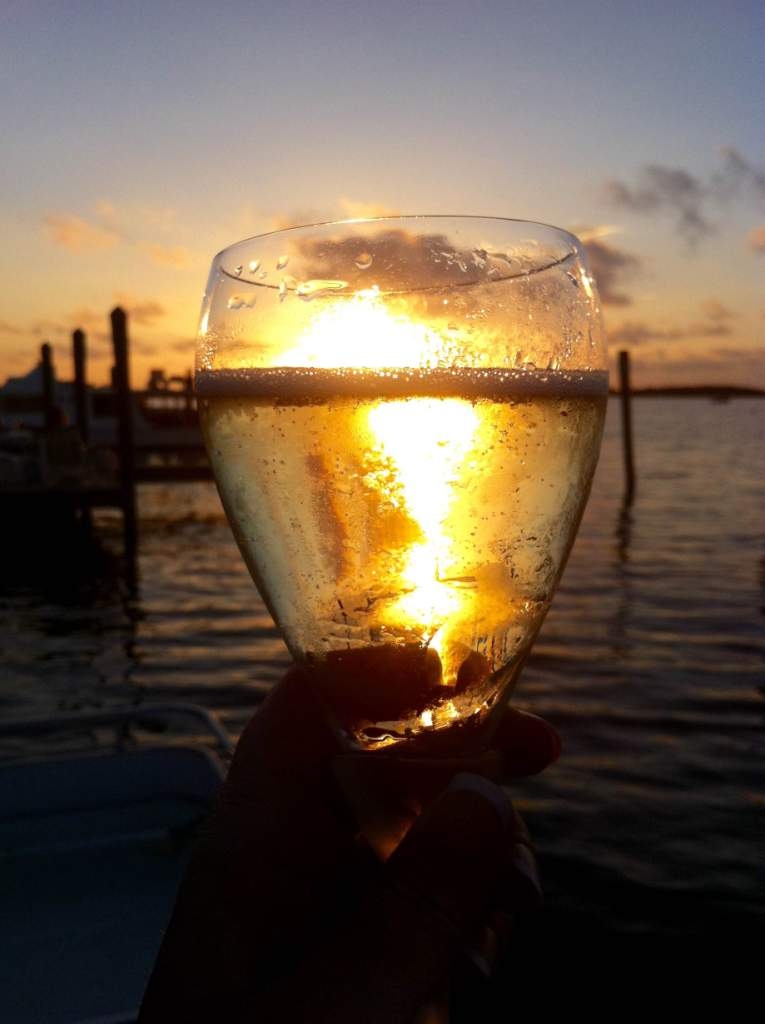 Cheers from Key Largo Florida by Paula Hooker