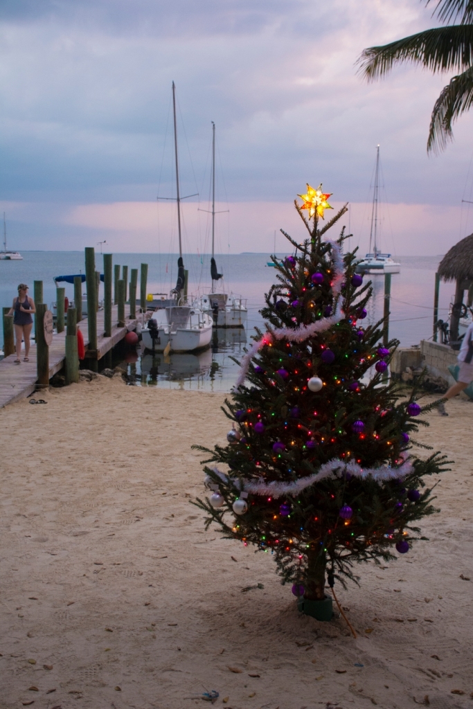Christmas Tree at the Beach in Key Lime Sailing Club Key Largo - from Robert Salthouse