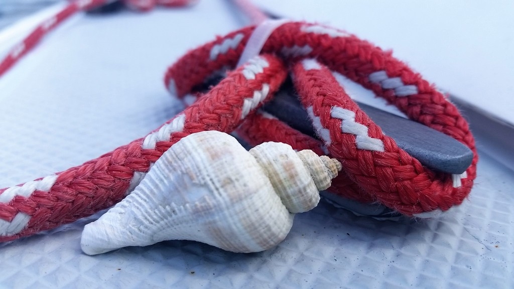 Cute Shell on a Sailboat of Key Lime Sailing Club and Cottages by Michaela Mcgowan