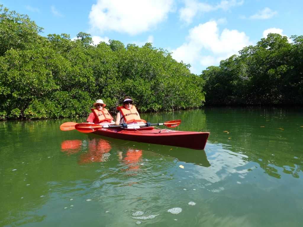 Florida Everglades Kayaking Adventure