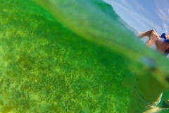 Brian Dale - Snorkeling in the Clear Waters of Key Largo