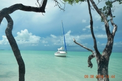 Earl Riley - Nest Key Heaven in the Florida Keys