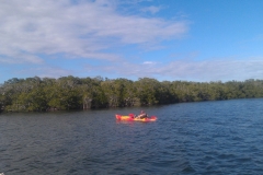 From Chuck and Nancy Petrone - Kayaking in the Florida Everglades