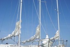 A Fleet of 22 Catalinas Ready for Guests at Key Lime Sailing Club Key Largo from Mary Reed