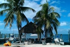 Another Beautiful Day in Paradise at Key Largo Cottages by Kevin Halverson