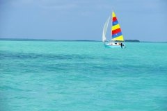 Blue Waters of Buttonwood Sound in Key Largo - from Dennis Russo