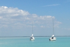 Calm Waters in Key Largo Are Very Ideal for Sailing - from Sharyn Gray