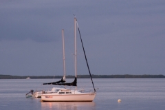 Catalinas Sailing the Buttonwood Sound in Key Largo Florida - from Robert Salthouse