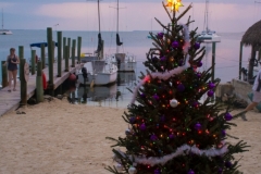 Christmas Tree at the Beach in Key Lime Sailing Club Key Largo - from Robert Salthouse