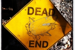 Dead End Sign at Key Largo Cottages by Meaghan Daley