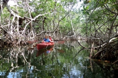 Everglades Mangrove Kayaking - from Patrice Sorg