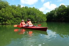 Florida Everglades Kayaking Adventure