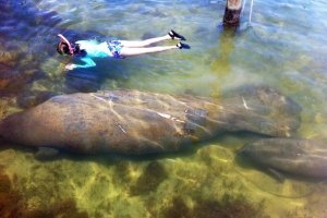 Snorkeling