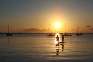 Stand up paddle boards