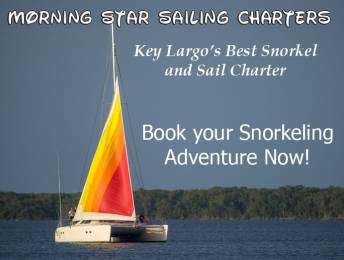 Key Largo Snorkel Charters