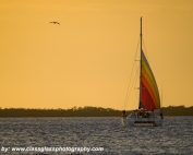 Key Lime Sailing Club Sunset Cruise