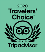 tripadvisor travelers choice award 2020