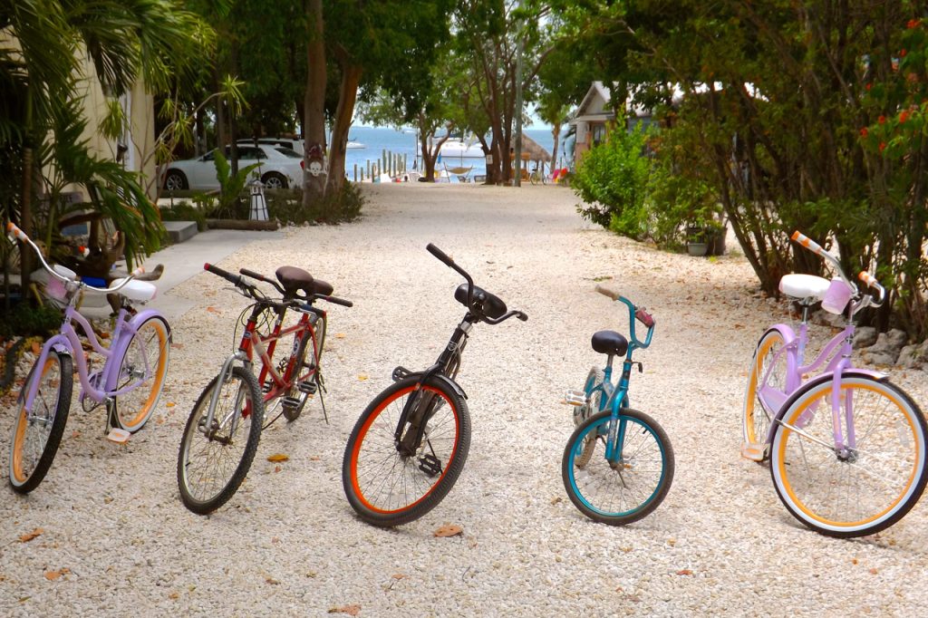 Bicycles free bicycle use at KLSC