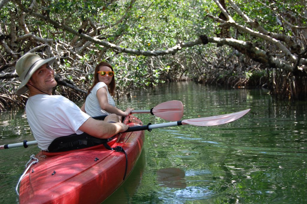 kayaking in the mangroves florida keys